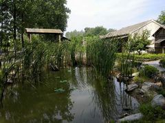 -大丰知青农场