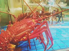 -美人鱼悬崖海景餐厅(鹿嘴山庄店)