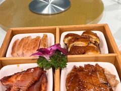 -老广酒楼(樱花店)