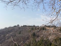 -白水寺森林公园
