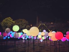 -锦江乐园舞狸花花游园会(夜场专享)