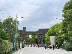 -溱湖国家湿地公园