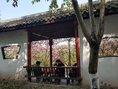 -重庆彩云湖湿地公园