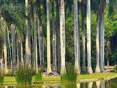 -中国科学院西双版纳热带植物园