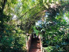 -西双版纳基诺山寨