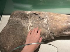 -珠海市博物馆