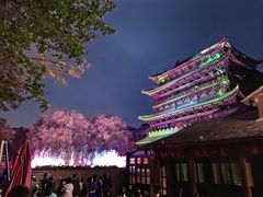 -疯克大象美式烤肉餐厅