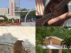 -石家庄市动物园