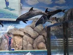 -福州罗源湾海洋世界旅游区