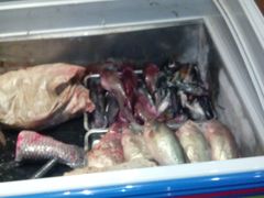 android_upload_pic-福熙鼎铁锅炖鱼(槐中路店)