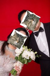 -青禾婚纱摄影(杭州店)