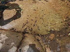 -三块石国家森林公园