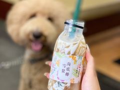 海底椰雪梨-鑫馨餐厅