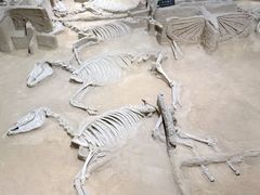 -洛阳周王城天子驾六博物馆