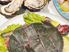 -蚝歌(中山七路店)