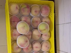 -老袁家蜜桃农场·阳山水蜜桃