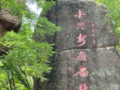 -汤旺河林海奇石景区