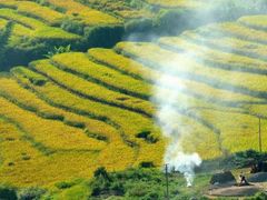 -梅州天地人花园酒店(梅县人民广场店)