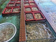 -景好海鲜餐厅(大鹏必选旅游店)