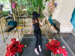 -西双版纳融创皇冠假日度假酒店