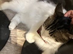 -小时光咖啡馆(北锣鼓巷店)