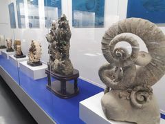 -贝壳王国博物馆