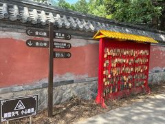 -阳台山自然风景区