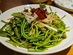 -菌自由丨野生菌火锅特色庭院餐厅(丽江古城店)