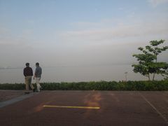 -深圳湾公园-停车场