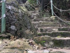 -南山植物园
