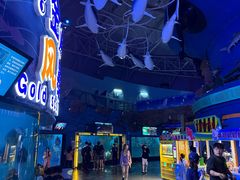 -烟台海昌鲸鲨海洋公园