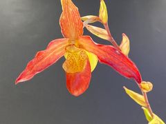 -北京植物园-展览温室