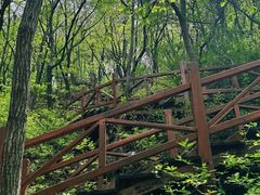 -大岭沟猕猴桃谷风景区