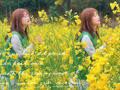 -婺源月亮湾