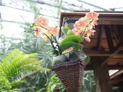 -南山植物园