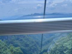 -牛背梁国家森林公园