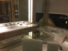 -新加坡丽思卡尔顿美年酒店