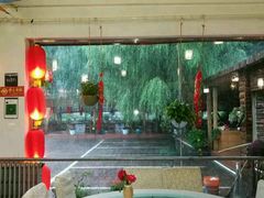 -龙福源密云水库灶台鱼