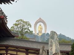 -庐山风景名胜区-东林大佛