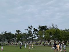 -万绿园