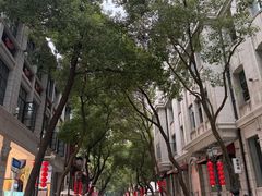 -巴公房子