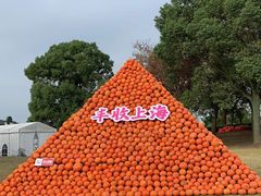 -上海月湖雕塑公园