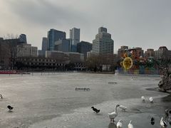 -紫光园·烤鸭·北京菜(团结湖店)
