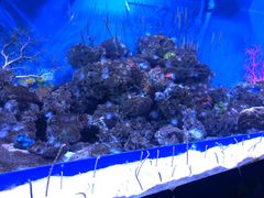 -成都浩海立方海洋公园