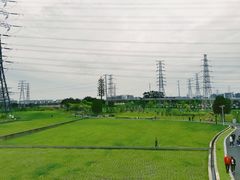 -王借岗森林公园