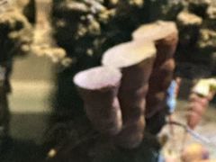 -天津自然博物馆