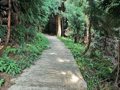 -山王坪喀斯特国家生态公园
