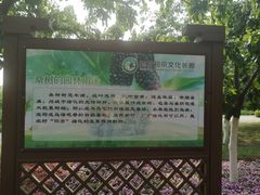 -御林古桑园