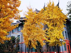 -四川大学(华西校区)