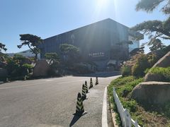 -罗红摄影艺术馆